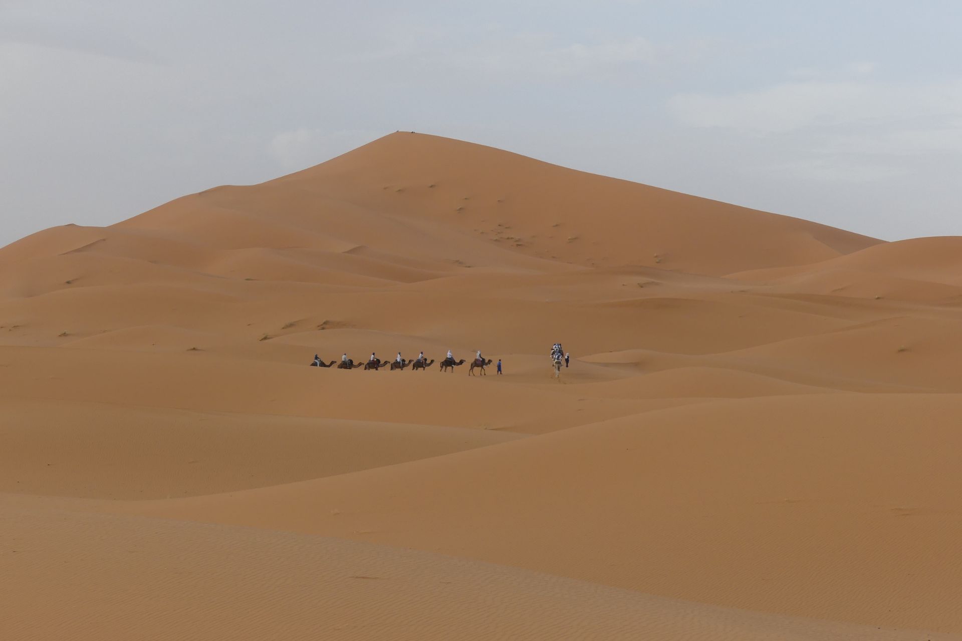 Admirable Morocco Tours